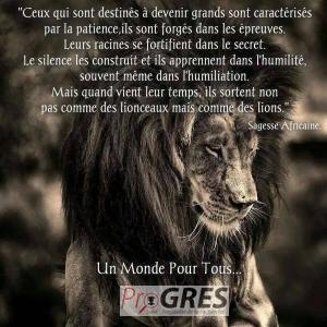 Photo de TRAORE Ibrahima